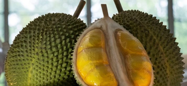 How is durian delivery in Singapore possible